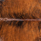files/7969_b_2ffc5b16-db1b-4d00-8f3a-898a5ed556bf.jpg