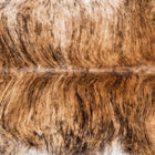 files/7970_b_6c693d65-7de6-4dd0-befb-4f4dc137a5e8.jpg