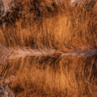 files/7975_b_72f6d20d-78c5-4f3e-8ef4-580528334da3.jpg