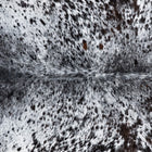 files/7991_b_f50f41b9-09cb-494b-ae36-8b231d95fea4.jpg