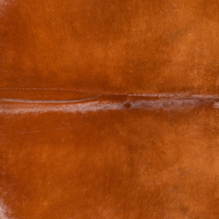 Brazilian Brown Cowhide Rug Size 7'11" L x 6'7" W 6180