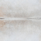 files/8048_b_ece6e846-fd60-4c64-9e4f-661fae40c72d.jpg