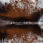 files/8069_b_ff58b0b1-0e1f-42ff-b503-5f2911ff013d.jpg