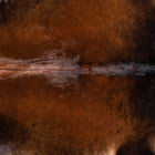 files/8086_b_70a7cce9-497c-4b8d-a867-56f0375064f3.jpg