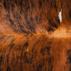 files/8107_c_52ba88a0-beb7-4d7a-a45b-6a7cd7aa57ca.jpg