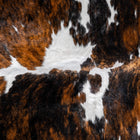 files/8115_c_2be79ef3-18c8-4657-a5bf-269e0b5e22fd.jpg
