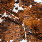 files/8118_d_4bbdbce8-a2b6-4669-ab42-6caa621693e6.jpg