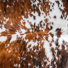 files/8119_c_d24ca0b6-6c5d-4f49-8f0c-a48e2b654331.jpg