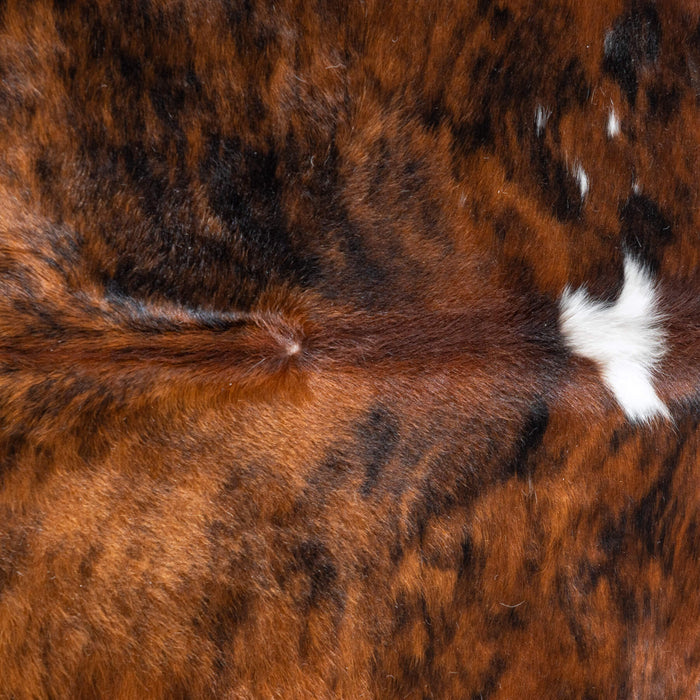 Tricolor Cowhide Rug Size 7'3" L x 6'6" W 8137