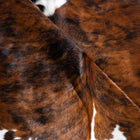 files/8137_d_2b6bc6b5-a0d8-4613-b034-aeadb69978ac.jpg