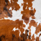files/8140_c_fd63a755-ade2-48a6-bde6-602f8d8fc187.jpg