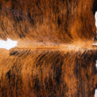 files/8141_c_a4d37ce6-2fd1-4db9-b991-142a0d878ca5.jpg