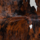 files/8155_c_936f5273-5f71-42bb-80a7-7db4a7d5c93c.jpg