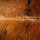 files/8158_c_a785e8ee-0a1d-4fc6-96a9-6066ffb52564.jpg