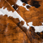 files/8168_d_6567ed6e-c4b2-4af6-a5b5-9558dbd0d2c7.jpg