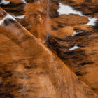 files/8170_d_22647335-f2e0-4de9-8bb6-a35cace09eb3.jpg