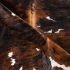 files/8177_d_0bc2d39e-59f2-4a3b-807e-2d705da519db.jpg