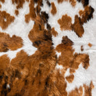 files/8180_c_3dc7c6d1-f284-4793-9cd9-6e9b1bb0cd6d.jpg