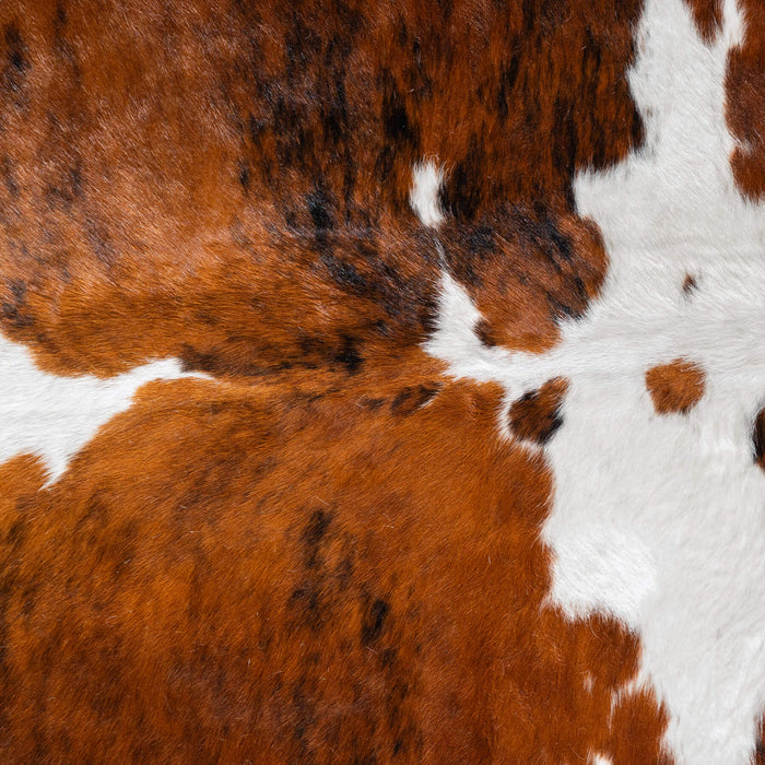 Tricolor Cowhide Rug Size 7'9" L x 6'11" W 8186