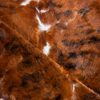 files/8188_d_9fa10545-b868-4a63-ad04-4d3d0572f323.jpg