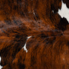 files/8195_c_690f196c-d32a-435f-b352-6f124439fc39.jpg