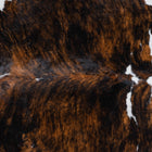 files/8231_b_7360bf7d-0074-4abb-812e-d3d482e6501f.jpg