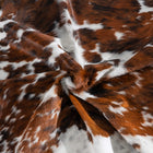 files/8234_d_fb2cc6c2-5fc6-4f73-8835-652841252a33.jpg