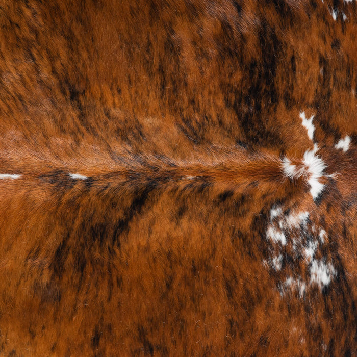Tricolor Brindle Mix Cowhide Rug Size 7'7" L x 6'5" W 8239