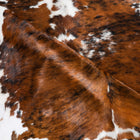 files/8239_c_979ce91e-a519-45e7-ae0b-d839659bdb0b.jpg