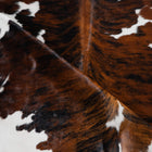 files/8242_c_c3d7bb5c-cd78-4929-b037-f756847d751b.jpg