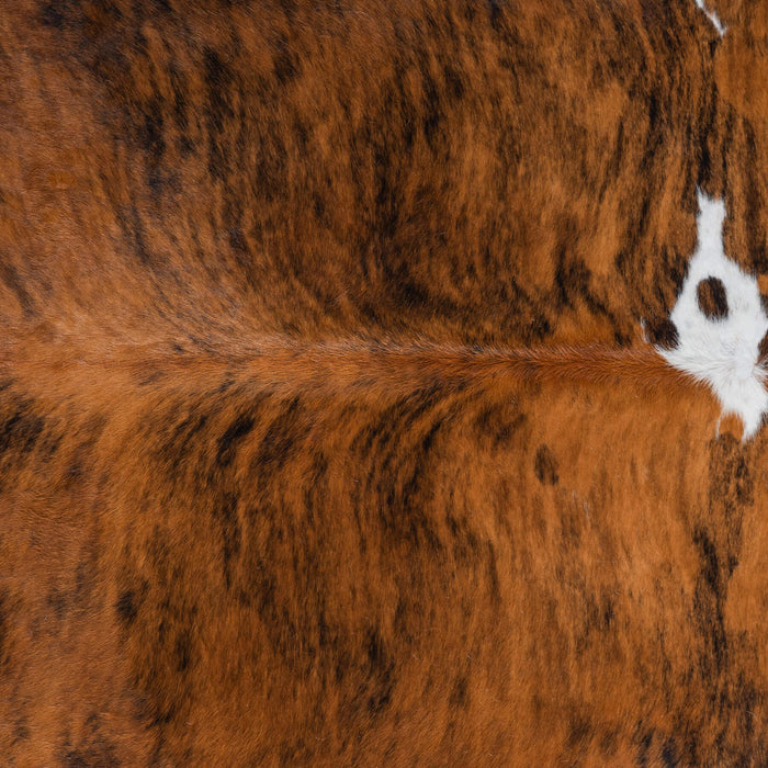 Tricolor Brindle Mix Cowhide Rug Size 8'4" L x 6'5" W 8273