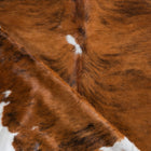 files/8277_c_dfe4e619-3fd7-4428-b17b-ee528fbbb3b8.jpg