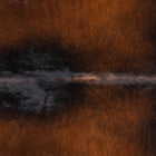 files/8302_b_4c6e67bb-d043-4e52-92b9-8131d6f6cc72.jpg