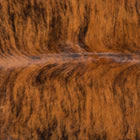 files/8328_b_4ec6a6b9-61a7-4d4e-9a40-4001b8da9637.jpg