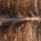 files/8340_b_ad3e3250-a05c-47cc-b21e-08812edfeaf6.jpg