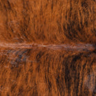 files/8345_b_9290fcec-0018-4d19-a9c5-9f254c8d3f65.jpg