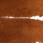 files/8367_b_b6e4d8e3-46b0-402e-b477-da6fc2226c51.jpg