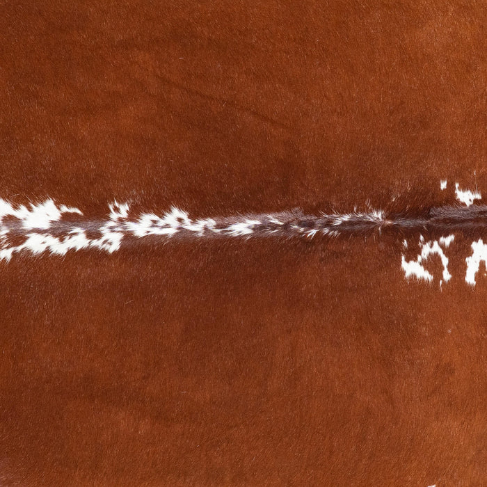 Brazilian Hereford Cowhide Rug Size 7'9" L x 7'4" W 8369