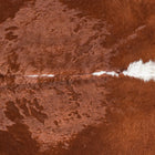 files/8371_b_7d6584e0-2e21-4286-9529-0b1c293244eb.jpg