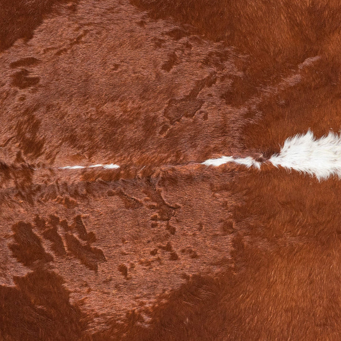 Brazilian Hereford Cowhide Rug Size 7'4" L x 7'7" W 8371