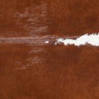 files/8377_b_2362a384-8b45-4da5-9b46-cbeef01b3951.jpg