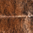 files/8423_b_421c6f02-9dbb-44ff-8f64-bc95327cc2d5.jpg