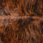 files/8490_b_ed99b157-c0db-432d-8528-a99eadb52cc4.jpg