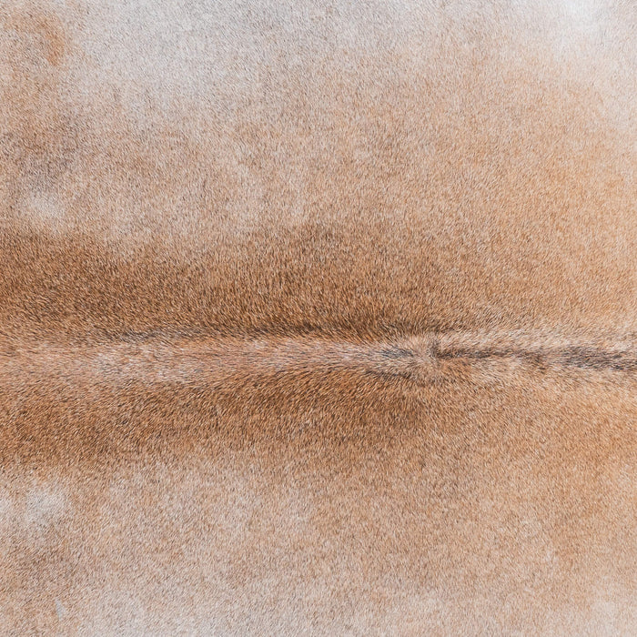 Brazilian Grey Palomino Cowhide Rug Size 6'1" L x 5'6" W 8519