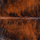 files/8522_b_6f0ae835-4404-40ae-b967-1cf930547932.jpg