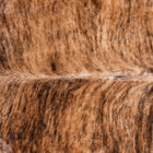 files/8542_b_8056a7d5-dd0b-4006-880f-15a47589e94b.jpg