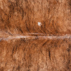 files/8553_b_e14c032e-72f3-4b5c-a694-0a9a1d907c05.jpg