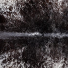 files/8555_b_c79bd1ac-2c7e-4c5d-b13a-a72c4b887dcd.jpg