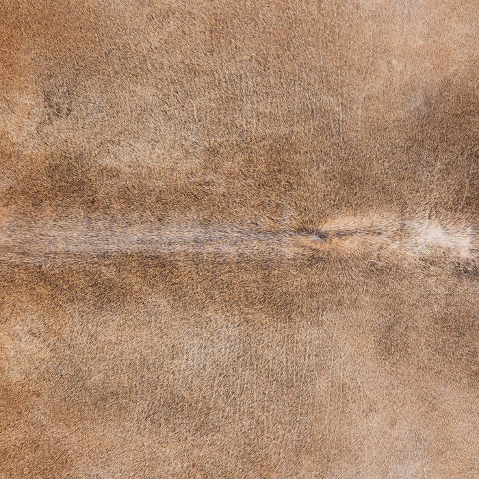 Brazilian Grey Palomino Cowhide Rug Size 7'7" L x 6'10" W 8558