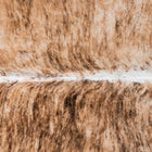files/8576_b_f53323d4-6f49-4d02-962b-8613f6893b44.jpg